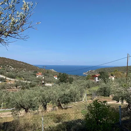 Olive Hill Private House Σπίτι διακοπών Πόρος