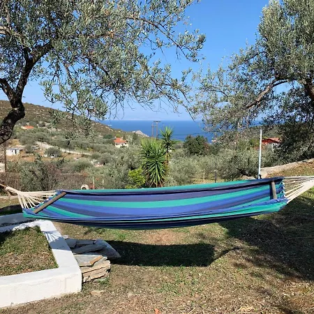 Olive Hill Private House Πόρος