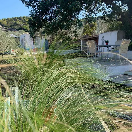 Olive Hill Private House Poros Town