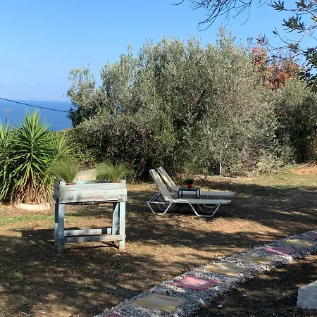 Olive Hill Private House * Πόρος