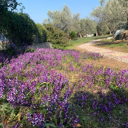 Olive Hill Private House Πόρος