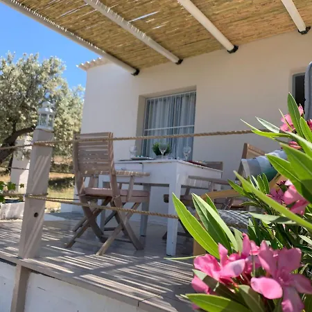 Olive Hill Private House Πόρος